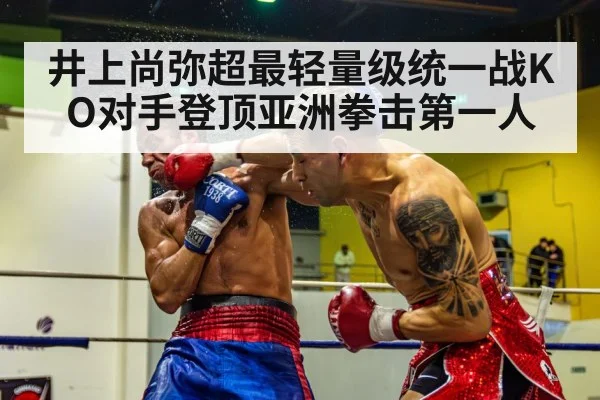 boxer knockout punch